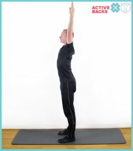 Active X side view https://active-x.co.uk/blog/why-is-active-x-backs-good-for-lower-back-pain/